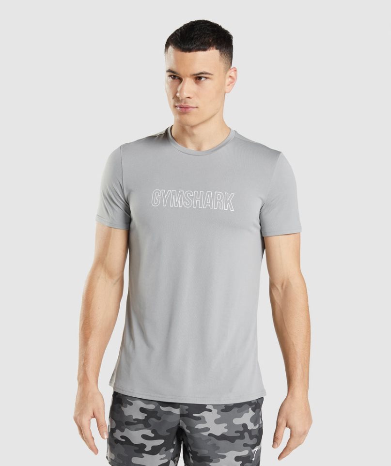 Men\'s Gymshark Arrival Graphic T-Shirts Light Grey | CA ND3580